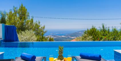 Villa Kavcar