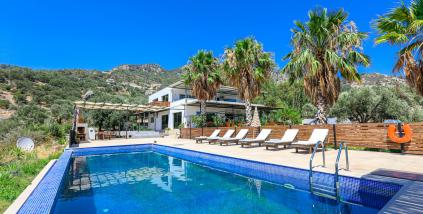 Villa Camelion Yalı