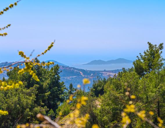 Villa Aras 2 İslamlar