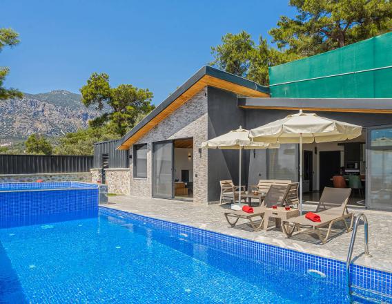 Villa love üzümlü